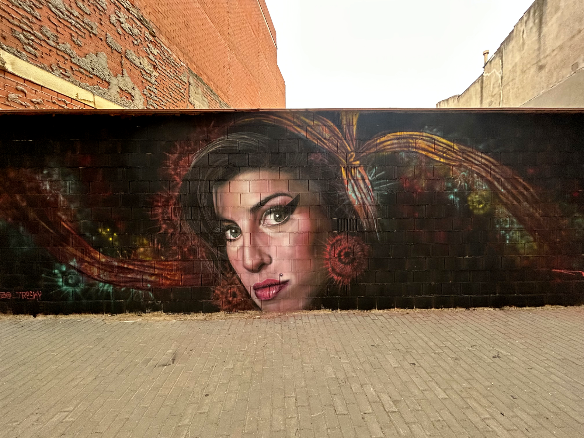 Mural homenaje a Amy Winehouse pintado por Tresky en un muro urbano.